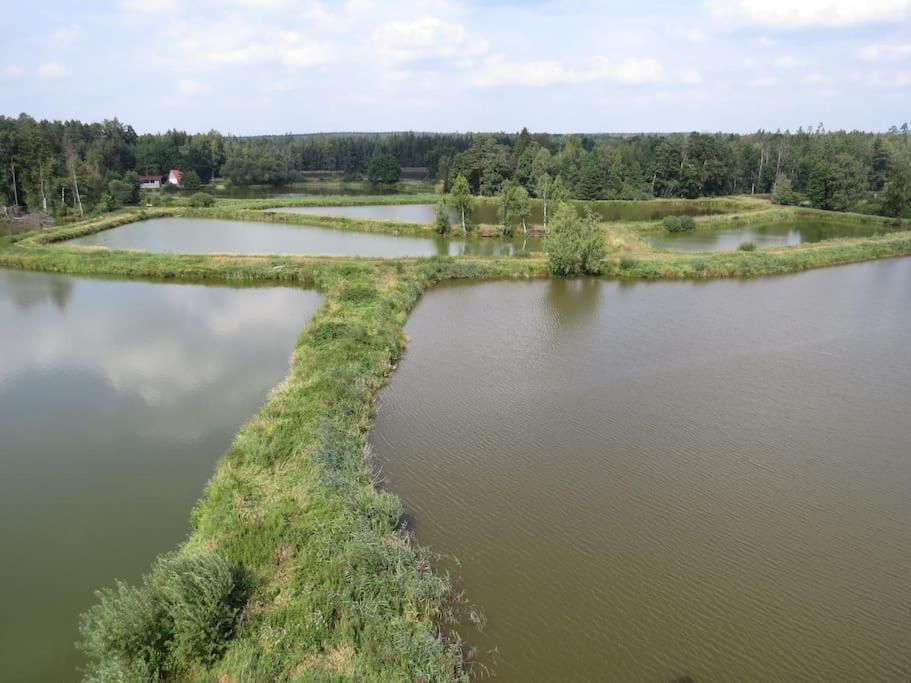 Ferienwohnung Mia Tirschenreuth Bagian luar foto